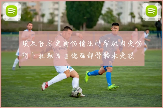 埃及官方更新伤情法特希肌肉受伤阿卜杜勒马吉德面部骨骼未受损